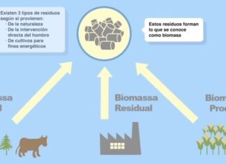 La BIOMASA como Energía Renovable central electrica de biomasa - como funciona