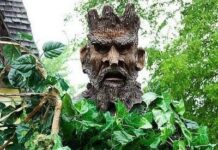 Esculturas con árboles