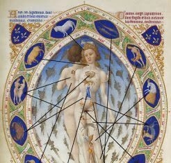El cuerpo y el zodiaco