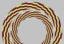 Ilusiones Opticas: Círculos en movimiento