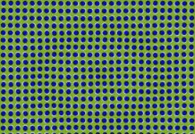 Ilusion optica.Kitaoka