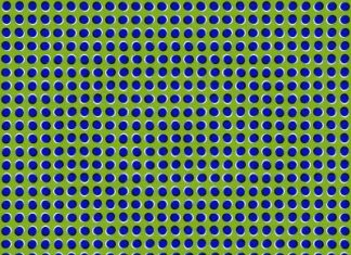 Ilusion optica.Kitaoka