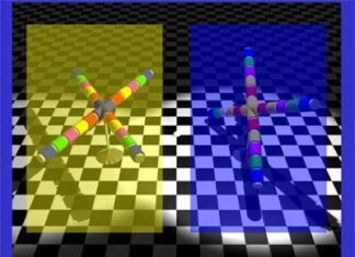 Los colores no son lo que parecen