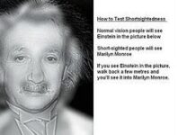 Ilusión óptica con Marilyn Monroe y Albert Einstein