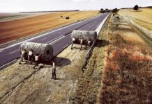 30 Fotos manipuladas con PhotoShop