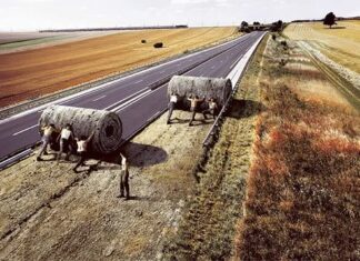 30 Fotos manipuladas con PhotoShop
