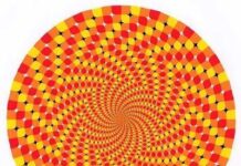 Ilusion optica . Giros