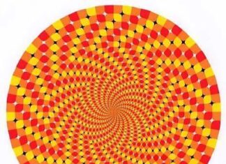 Ilusion optica . Giros