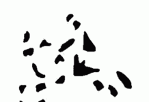 Ilusion optica.Vemos lo que no es