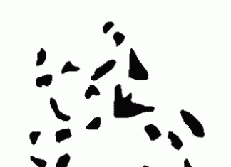 Ilusion optica.Vemos lo que no es