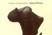 Portada de disco de Manu Dibango