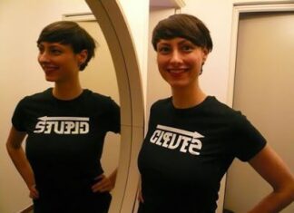 Ambigrama Clever o estupid