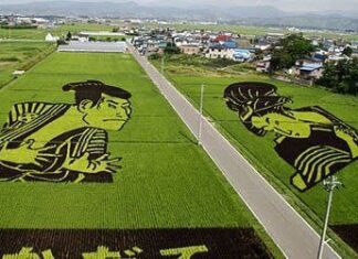 Imagenes artisticas. Arte en el campo