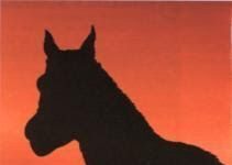 La mirada del caballo