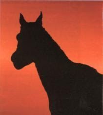 La mirada del caballo