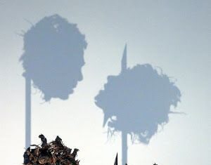 Esculturas con sombras de Kumi Yamashita