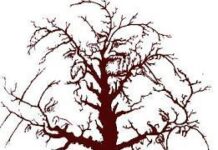 Caras en el árbol