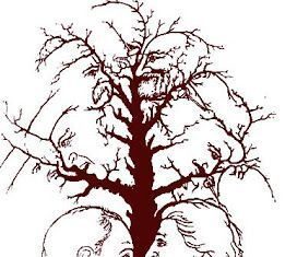 Caras en el árbol