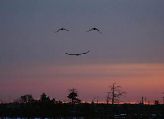 De vacaciones e ilusiones
