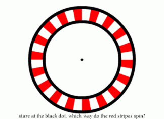 Circulo que gira