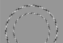 Ilusion optica. Circulos deformados de Kitaoka