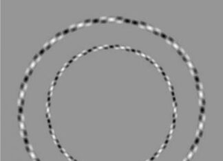 Ilusion optica. Circulos deformados de Kitaoka