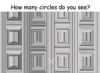 🌀 ¿Cuántos círculos ves? La ilusión óptica que desafía tu percepción 👀