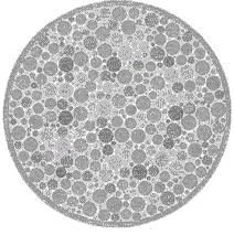Test de percepcion cromática