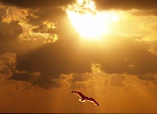 Consejos al Realizar Fotografía a Paisajes como fotografiar paisajes