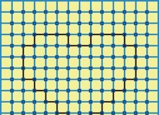 Ilusion optica. El corazon naranja