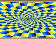 Ilusion optica. Movimiento Kitaoka