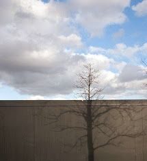 El arbol de la ilusion