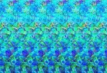 Ilusiones opticas.Crea tu propio estereograma