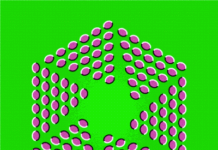 Ilusion optica. Expansion