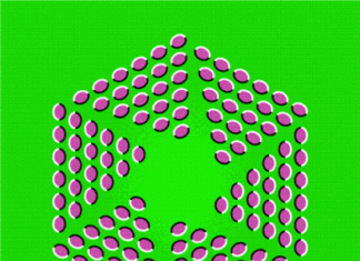 Ilusion optica. Expansion