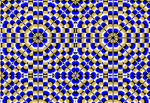 Expansion