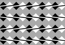 Ilusion optica .Efecto Fraser , paralelas que no lo parecen