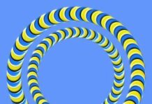 Ilusion optica.Circulos en movimiento