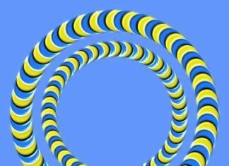 Ilusion optica.Circulos en movimiento