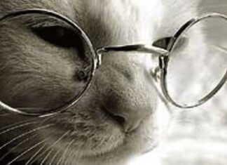 El síndrome de Tom y Jerry