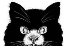 Gato y ratón