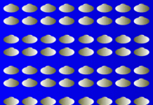 Ilusion optica . ¿Movimiento?