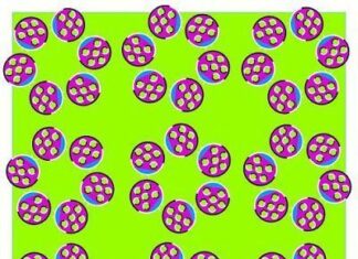 Ilusion optica. Otra de circulos moviendose