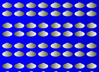 Ilusion optica . ¿Movimiento?