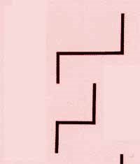Ilusion optica. ¿Que ves aquí?