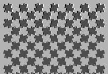 Ilusion optica.Imagenes en falso movimiento