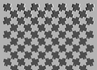 Ilusion optica.Imagenes en falso movimiento