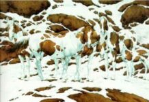 Ilusión Óptica. Caballos en la nieve
