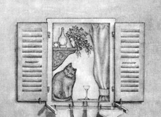 Ilusiones para mentes calenturientas