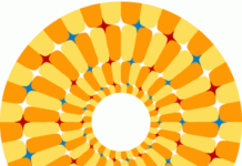 Ilusion optica. Adelante y atras.